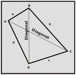 Cuadril�tero y sus diagonales.